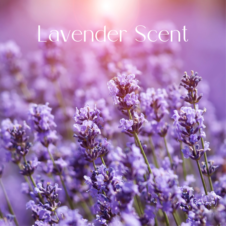 Lavender flowers bathed in sunlight, highlighting the soothing and aromatic essence of the lavender scent associated with Gel Polish S201.