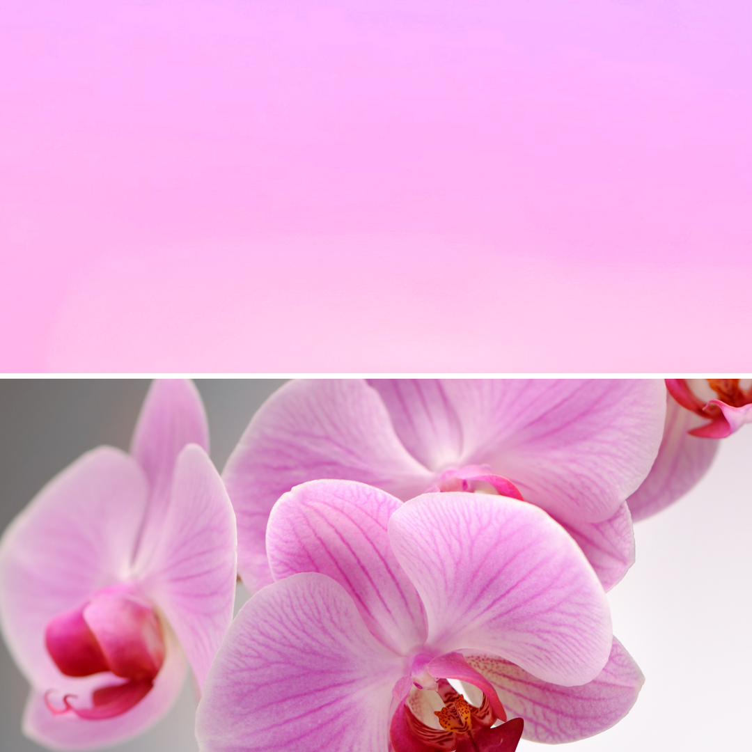 Gel Polish 120 Orchid Whisper 5th image